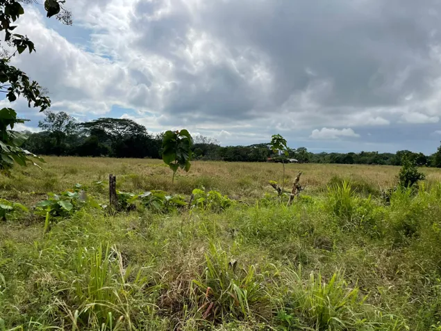 VENTA DE FINCA, PUNTARENAS, PARRITA, EL PLAYON en Parrita, Puntarenas — $180,000 - Foto 3 de 5