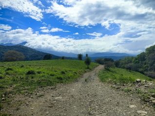 EN VENTA Finca de 8.3 Ha de uso mixto con vista al Tárcoles in Hacienda Vieja, Orotina, Alajuela — $995,000 - Photo 4 of 18