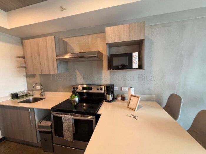 APARTAMENTO EN Q-BO ESCALANTE SAN JOSE in Catedral, San José — $155,000