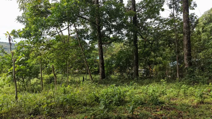 FOR SALE: FARM WITH VIEWS OF CHIRRIPO AND ACCESS TO THE BUENA VISTA RIVER in Rivas, Pérez Zeledón, San José — $400,000 - Photo 2 of 22