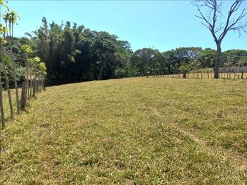 Farm For Sale Atenas, Atenas, Alajuela