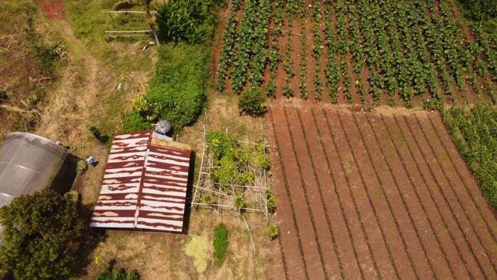Propiedad con Agua Todo el Año, Ideal para Vivero o Agricultura en Naranjo, Alajuela — $102,000 - Foto 2 de 35