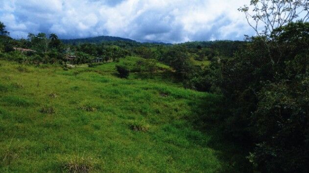 TERRENO EN VENTA DE 20,000 M² EN MIRAFLORES, PÉREZ ZELEDÓN in San Isidro De El General, Pérez Zeledón, San José — $150,000