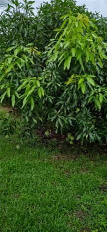 Espectacular y  en Mogote, Bagaces, Guanacaste — ₡ 130 000 000