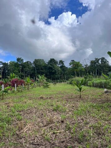 Terreno en Venta en Finca 2, Río Frío Sarapiquí – 1000 m² en La Virgen, Sarapiquí, Heredia — ₡ 11 000 000