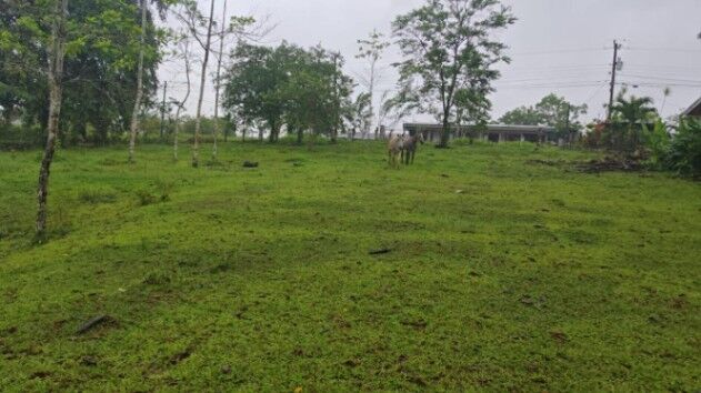 Lote en Santa Rosa de Pocosol en Pocosol, San Carlos, Alajuela — ₡ 56 000 000