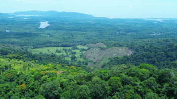 Finca de 107 Hectáreas en Sierpe, Osa en Sierpe, Osa, Puntarenas — 482 800 000 ₡ - Foto 5 de 10