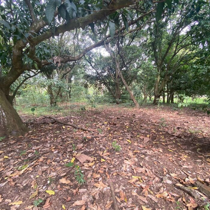 VENTA DE LOTE,  USO MIXTO, ALAJUELA, OROTINA, HACIENDA VIEJA en Hacienda Vieja, Orotina, Alajuela — $275,000