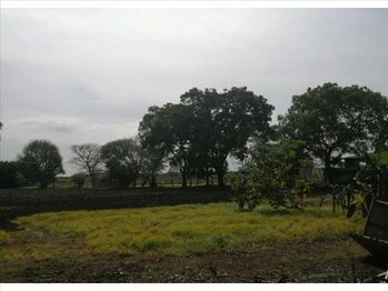 Land For Sale Palmira, Carrillo, Guanacaste