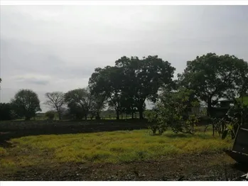 VENTA DE LOTE ALTA DENSIDAD, GUANACASTE, CARRILLO, PALMIRA