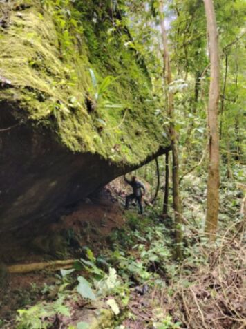 Venta de finca  en San Isidro De El General, Pérez Zeledón, San José — $1,500,000