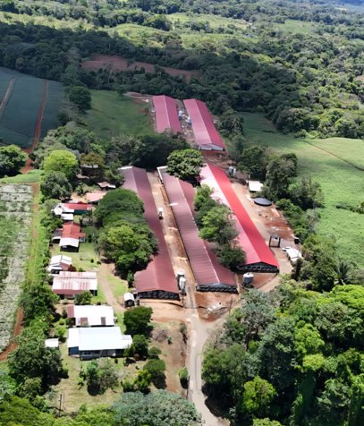 VENTA - Granja avícola de engorde  en Río Cuarto de ALAJUELA - 9.5 HA- CON CONTRATO Y CASAS DE HAB in Santa Isabel, Río Cuarto, Alajuela — $5,600,000