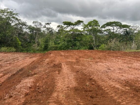 Terreno plano de 517 m² en Los Ángeles de Pocosol, excelente ubicación y servicios en Pocosol, San Carlos, Alajuela — ₡ 10 900 000