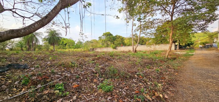 VENTA DE LOTE EN OROTINA, ALAJUELA en Orotina, Alajuela — ₡ 55 000 000 - Foto 2 de 7