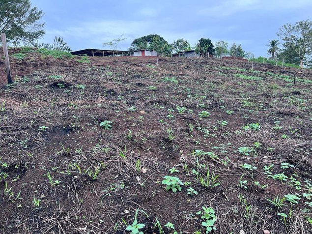VENTA TERRENO DE DESARROLLO, ALAJUELA, SAN CARLOS, SAN JOSECITO en La Fortuna, San Carlos, Alajuela — $170,000 - Foto 3 de 9