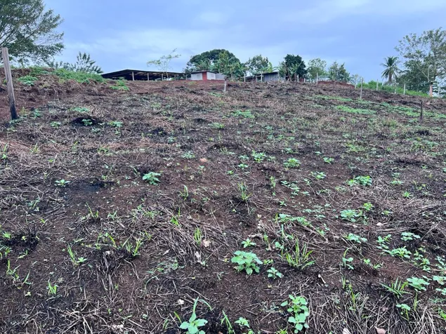 VENTA TERRENO DE DESARROLLO, ALAJUELA, SAN CARLOS, SAN JOSECITO en La Fortuna, San Carlos, Alajuela — $170,000 - Foto 3 de 9
