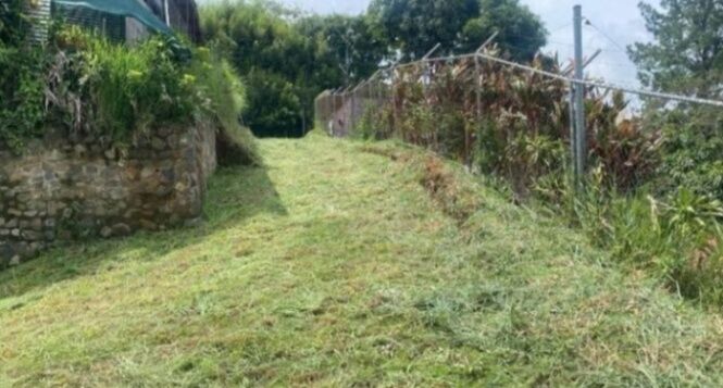 SE VENDE BELLA PROPIEDAD EN BARRIO SAN JOSÉ, ATENAS.  en San José, Atenas, Alajuela — ₡ 73 000 000