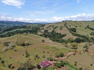 THE LIVESTOCK AND AGRICULTURE FARMERS in Cajón, Pérez Zeledón, San José — $4,000,000 - Photo 4 of 20