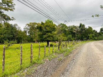 Farm For Sale Canoas, Corredores, Puntarenas