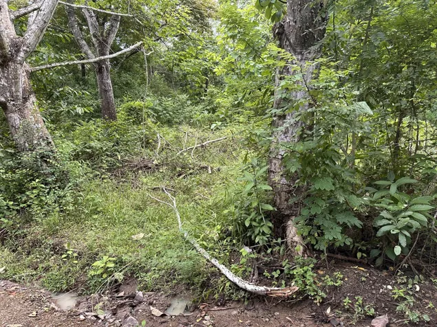 Exclusive Lot with Natural River Minutes from the Beach in Manzanillo in Cóbano, Puntarenas — $230,000 - Photo 3 of 9