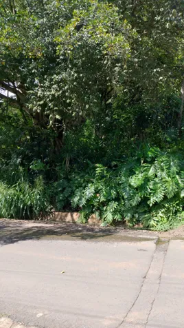 Large mixed use 22,346m2 lot close to the new and old highways in Atenas, Alajuela — $560,000 - Photo 2 of 5