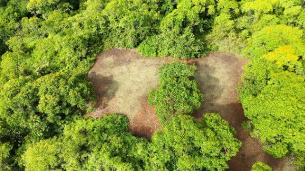 OPORTUNIDAD EXCLUSIVA DE INVERSION: FINCA DE 8.3 HECTAREAS CERCA DE DOMINICAL in Barú, Pérez Zeledón, San José — $299,999
