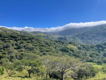 Oferta/ Hermosa propiedad  en La Unión, Montes De Oro, Puntarenas — 32 000 000 ₡ - Foto 5 de 16