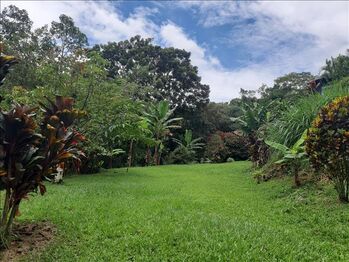 Finca en Venta Guayabo, Mora, San José