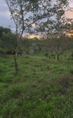 Lote de 600m2 con Vista al Volcán Arenal a 25min de Fortuna, zona encantadora! en La Fortuna, San Carlos, Alajuela — ₡ 38 000 000