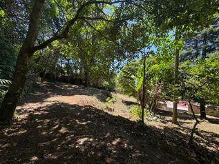 VENTA DE LOTE, USO MIXTO, HEREDIA, BARVA, SAN JOSÉ DE LA MONTAÑA en San José de La Montaña, Barva, Heredia — 67 500 000 ₡ - Foto 4 de 9