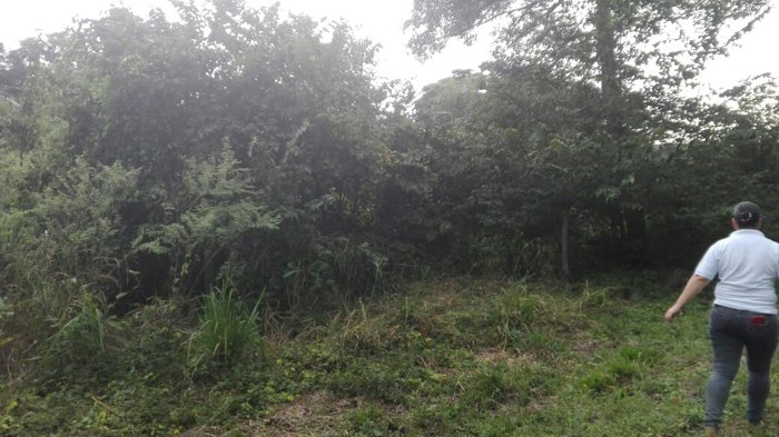 GANGA! Lote de 5002 m cerca de playa Guacalillo en Tárcoles, Garabito, Puntarenas — ₡ 35 000 000 - Foto 2 de 11