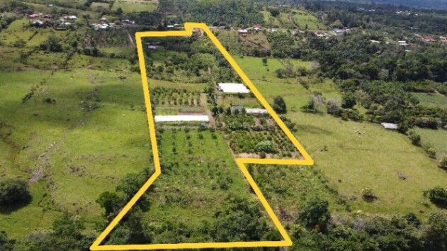 FINCA AGRÍCOLA EN VENTA CAJÓN, PÉREZ ZELEDÓN, COSTA RICA (42,841 m²)  in Cajón, Pérez Zeledón, San José — $299,999