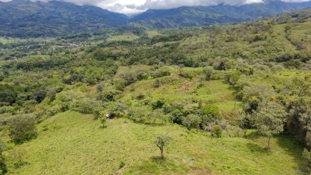 EN VENTA – PROPIEDAD EN MIRAFLORES DE GENERAL VIEJO, PÉREZ ZELEDÓN in San Isidro De El General, Pérez Zeledón, San José — $450,000
