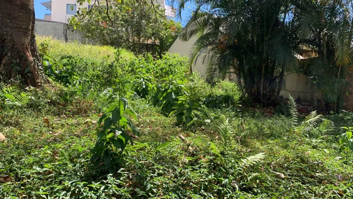 VENTA TERRENO RESIDENCIAL, SAN JOSE, CURRIDABAT, PINARES en Curridabat, San José — $428,995 - Foto 2 de 8