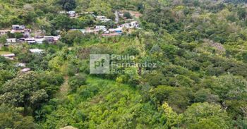 Propiedad de 20.000 m² en venta – Candelaria de Palmares in Candelaria, Palmares, Alajuela — 130 000 000 ₡ - Photo 5 of 6