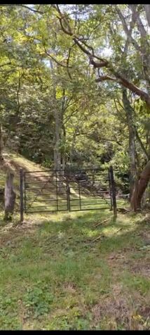 SE VENDE ESPECIAL Y ÚTIL FINCA EN RÍO GRANDE, ATENAS.  en Atenas, Alajuela — ₡ 100 000 000