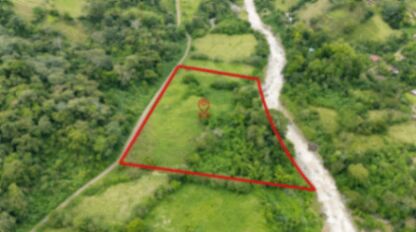 FINCA EN RÍO NUEVO DE SAVEGRE, UN PARAÍSO NATURAL EN EL CORAZÓN DEL PACÍFICO SUR DE COSTA RICA en Río Nuevo, Pérez Zeledón, San José — $300,000