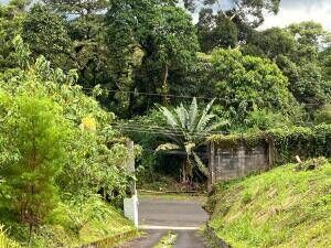 ¿Sueñas con construir la casa de tus sueños en un entorno tranquilo y rodeado de naturaleza? OFC /AD en San Ramón, La Unión, Cartago — $240,000 - Foto 4 de 8