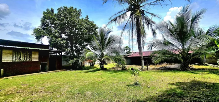 Venta de Lote en Guápiles, Limón en Guápiles, Pococí, Limón — ₡ 70 000 000