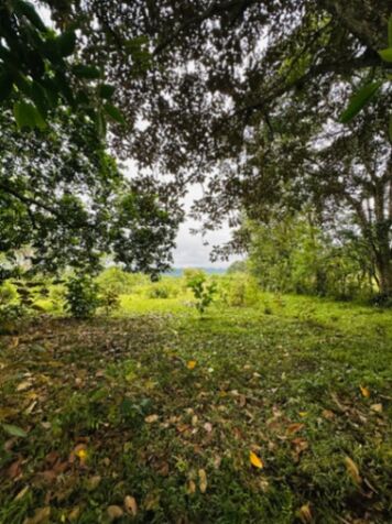 Finca en excelente ubicación  in Canoas, Corredores, Puntarenas — $1,100,000,000