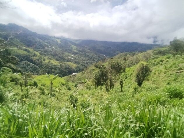 SE VENDE LOTE CON GRAN PRIVACIDAD, EN RIVAS COSTA RICA, PZ. in Rivas, Pérez Zeledón, San José — $450,000