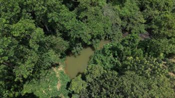 VENTA DE FINCA DE 8.1 HA CON DOS CASAS Y FRENTE DE RIO EN LAS MESAS, PEREZ ZELEDON en Cajón, Pérez Zeledón, San José — $249,999 - Foto 3 de 17