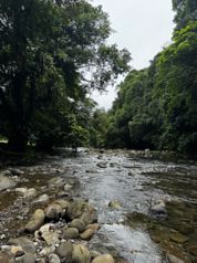 Farm with Beautiful River in Pocora, Guácimo, Limón — ₡ 140 000 000 - Photo 2 of 10