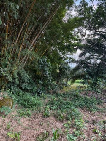 ¡VENTA DE LOTE EN PÉREZ ZELEDÓN! in San Isidro De El General, Pérez Zeledón, San José — ₡ 11 500 000