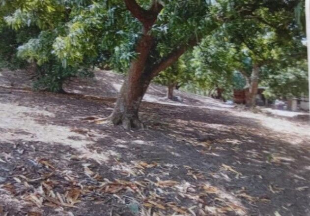 SE VENDE BELLA PROPIEDAD EN LAGUNILLAS DE GARABITO, PUNTARENAS.  in Tárcoles, Garabito, Puntarenas — ₡ 20 000 000
