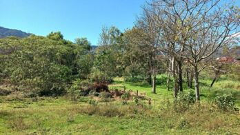 Venta de Lote en Desamparados-San Miguel. RAH 25-1406  en San Miguel, Desamparados, San José — $800,000 - Foto 5 de 6