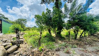 🌿 TERRENO EN VENTA EN LA COLONIA, GUAPILES en La Colonia, Pococí, Limón — 19 500 000 ₡ - Foto 3 de 7