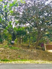 LOTE OPORTUNIDAD  en Colón, Mora, San José — 60 000 000 ₡ - Foto 5 de 5