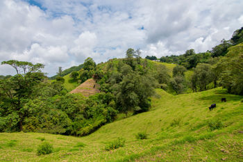 VENTA DE FINCA, CARTAGO, CARTAGO, LLANO GRANDE en Llano Grande, Cartago — 225 000 000 ₡ - Foto 3 de 9