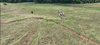 Hermosa Finca en San Carlos – Ideal para Vivir, Invertir o Producir. en Pital, San Carlos, Alajuela — $3,724,000 - Foto 4 de 13